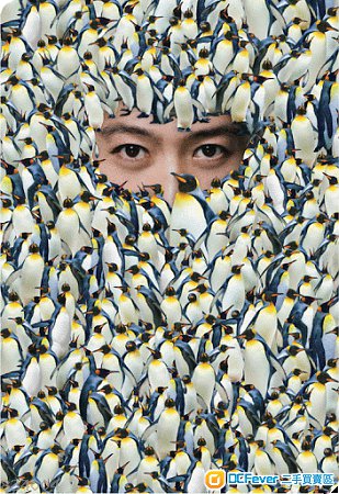 {出讓}黎明 Leon’s Penguins in Live 2017