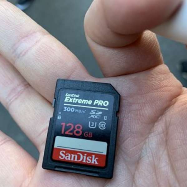 SANDISK 128GB SD CARD - DCFever.com